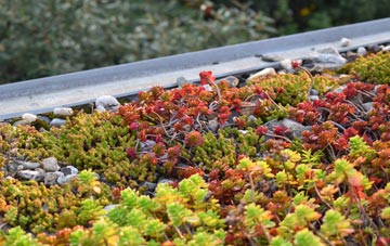 the cost of Marholm green roof installation